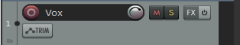 Track, Master Track and Mixer Panels: Tips and Layouts screenshot