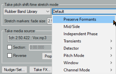 Changing Pitch for Individual Media Items screenshot