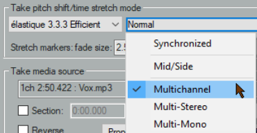 Changing Pitch for Individual Media Items screenshot