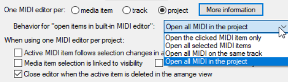 Working with Multiple MID0I Tracks and/or Items (Overview) screenshot