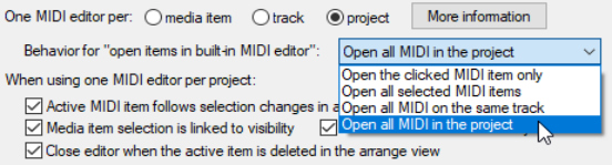 Configuring and Accessing the MIDI Editor screenshot