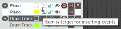 Notation Editor Specific Tasks and Functions screenshot