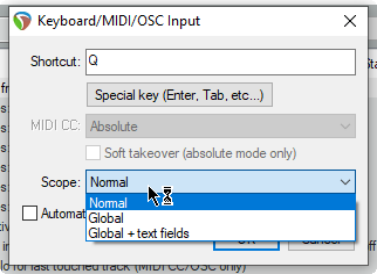 Global Shortcut Overrides screenshot