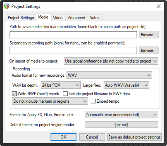 Setting Media Project Options screenshot