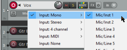 To Prepare and Record One Track screenshot