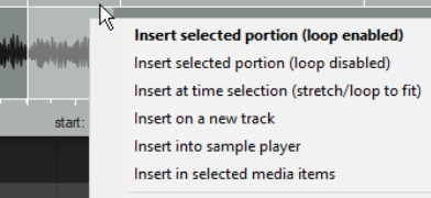 Inserting Audio Files, Samples and FX screenshot