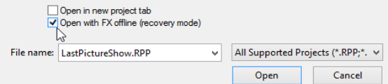 Opening a File in Recovery Mode screenshot