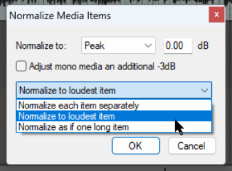 Normalizing Items screenshot