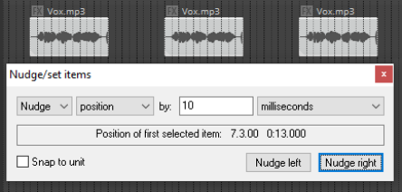 The Nudge/Set Items Window screenshot