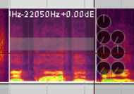 Spectrogram View and Spectral Editing screenshot