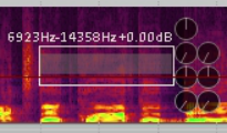 Spectrogram View and Spectral Editing screenshot