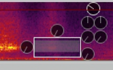 Spectrogram View and Spectral Editing screenshot